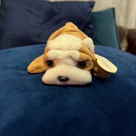 Ty Beanie Baby Wrinkles - Picture 1 of 6